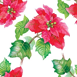 水彩植物花卉矢量素材