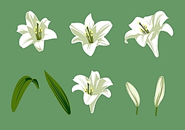 白色花朵圖案矢量素材