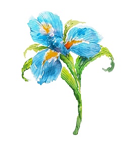 簡(jiǎn)約水彩花卉矢量素材