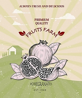 農(nóng)場石榴矢量素材