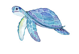 創(chuàng)意海龜水彩矢量素材