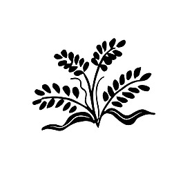 花草素描樹枝裝飾矢量素材