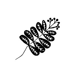 花枝素描樹枝裝飾矢量素材