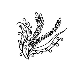 植物素描樹枝裝飾矢量素材