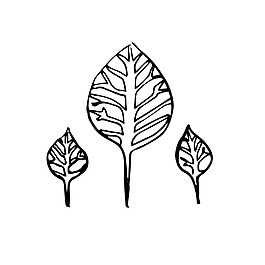 樹(shù)葉素描樹(shù)枝裝飾矢量素材