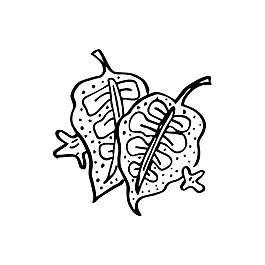 树叶素描树枝装饰矢量素材