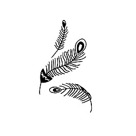 羽毛素描樹枝裝飾矢量素材
