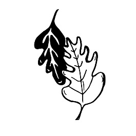 树叶素描树枝装饰矢量素材