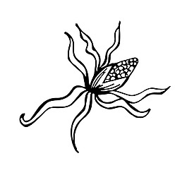 花纹素描树枝装饰矢量素材