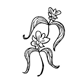 花樣素描樹枝裝飾矢量素材