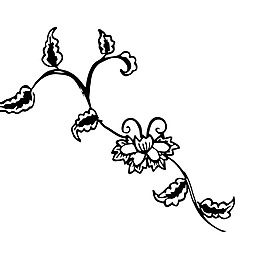 花纹素描树枝装饰矢量素材