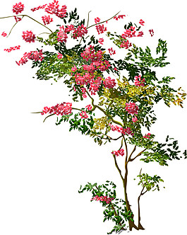 彩色花樹PNG元素
