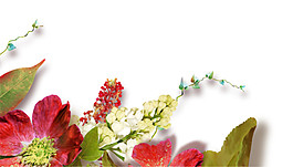 紅色花朵邊角裝飾圖