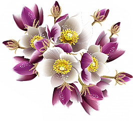 彩色花束PNG图案