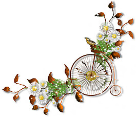 抽象自行車野菊花藤蔓裝飾圖