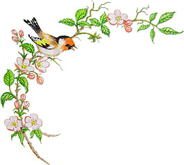 小鳥花枝藤蔓裝飾圖案