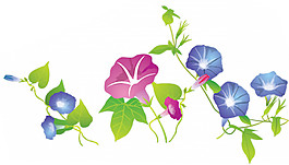 彩色牽牛花藤蔓png圖片素材