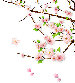 粉色桃花枝邊角裝飾圖