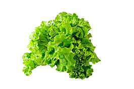 綠色新鮮蔬菜元素