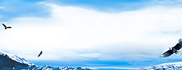 大氣雄鷹風(fēng)景banner背景