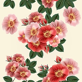 常見小花卡通矢量花朵背景素材
