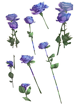 紫色玫瑰花素材圖片