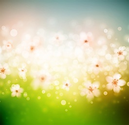 天氣與季節(jié)花朵抽象背景