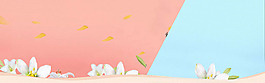 双色拼接撞色banner背景