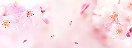 粉色浪漫桃花banner背景