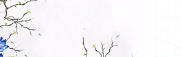 現(xiàn)代簡(jiǎn)約樹(shù)枝家居banner背景