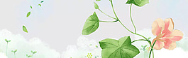 簡約綠藤綠葉banner背景