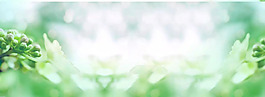 绿色梦幻树叶banner背景