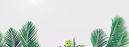 簡約綠色葉子淘寶全屏banner背景