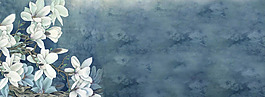 復(fù)古白色花朵夢幻淘寶全屏banner背景