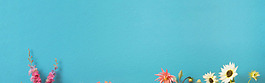 藍色簡約花朵淘寶全屏banner背景