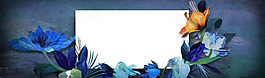 藍(lán)色花朵夢幻淘寶全屏banner背景