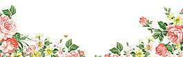 簡約牡丹花朵化妝品banner背景