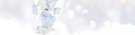 簡約大氣夢幻淘寶全屏banner背景