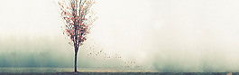 簡(jiǎn)約夢(mèng)幻秋季樹(shù)淘寶全屏banner背景