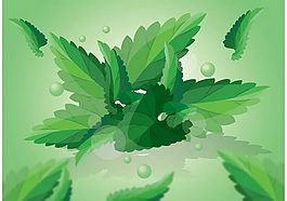 綠色葉子矢量素材