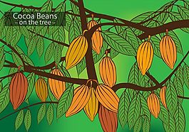 綠色植物堅(jiān)果矢量素材