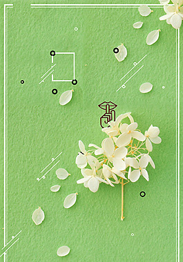 小清新白色花瓣背景