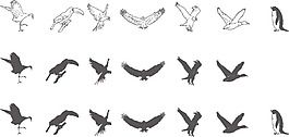 鳥類手繪風野生動物輪廓剪影矢量PNG