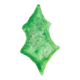 植物樹葉矢量素材