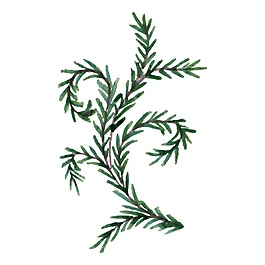 不規則衍生樹枝裝飾素材