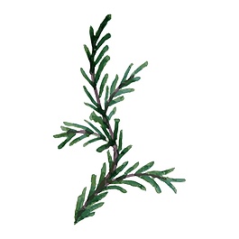 小清新水彩树枝装饰素材
