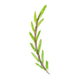 矢量淺綠枝裝飾素材