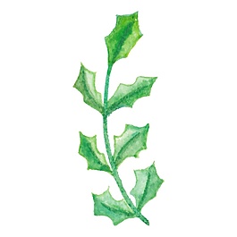 印花樹枝裝飾素材
