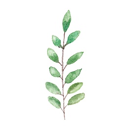 簡(jiǎn)約水墨樹枝裝飾素材