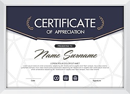 黑白典雅現(xiàn)代認證書矢量素材